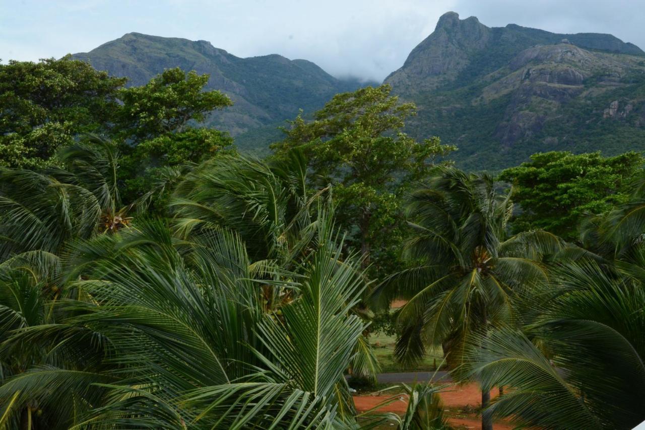 Claynest Resorts Kuttālam Buitenkant foto