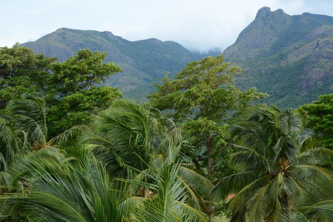 Claynest Resorts Kuttālam Buitenkant foto